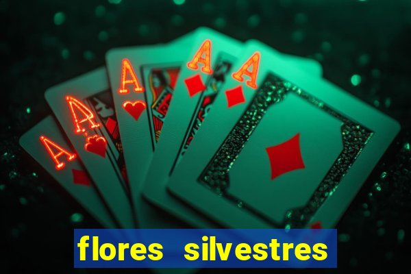 flores silvestres desbravadores desbravadores 25